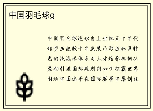 中国羽毛球g